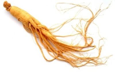 Ginseng Benefits (Are There Side Effects You Should Know?)
