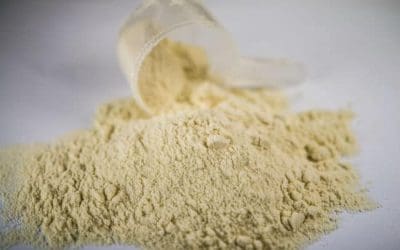 Top 10 Best Protein Powders, According to a Certified Nutrition Coach