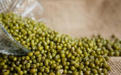 The Many Health Benefits of Mung Beans