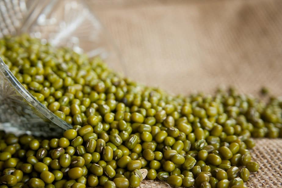 mung bean benefits