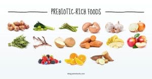 what are prebiotics