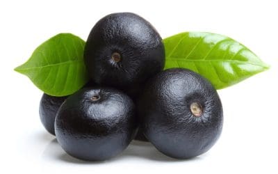 The Health Benefits of Acai Berries