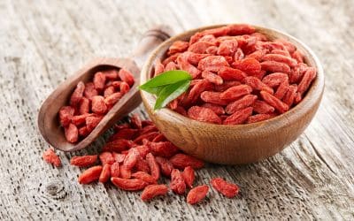 The Health Benefits of Goji Berries