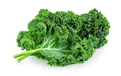 The Health Benefits of Kale