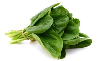 The Health Benefits of Spinach
