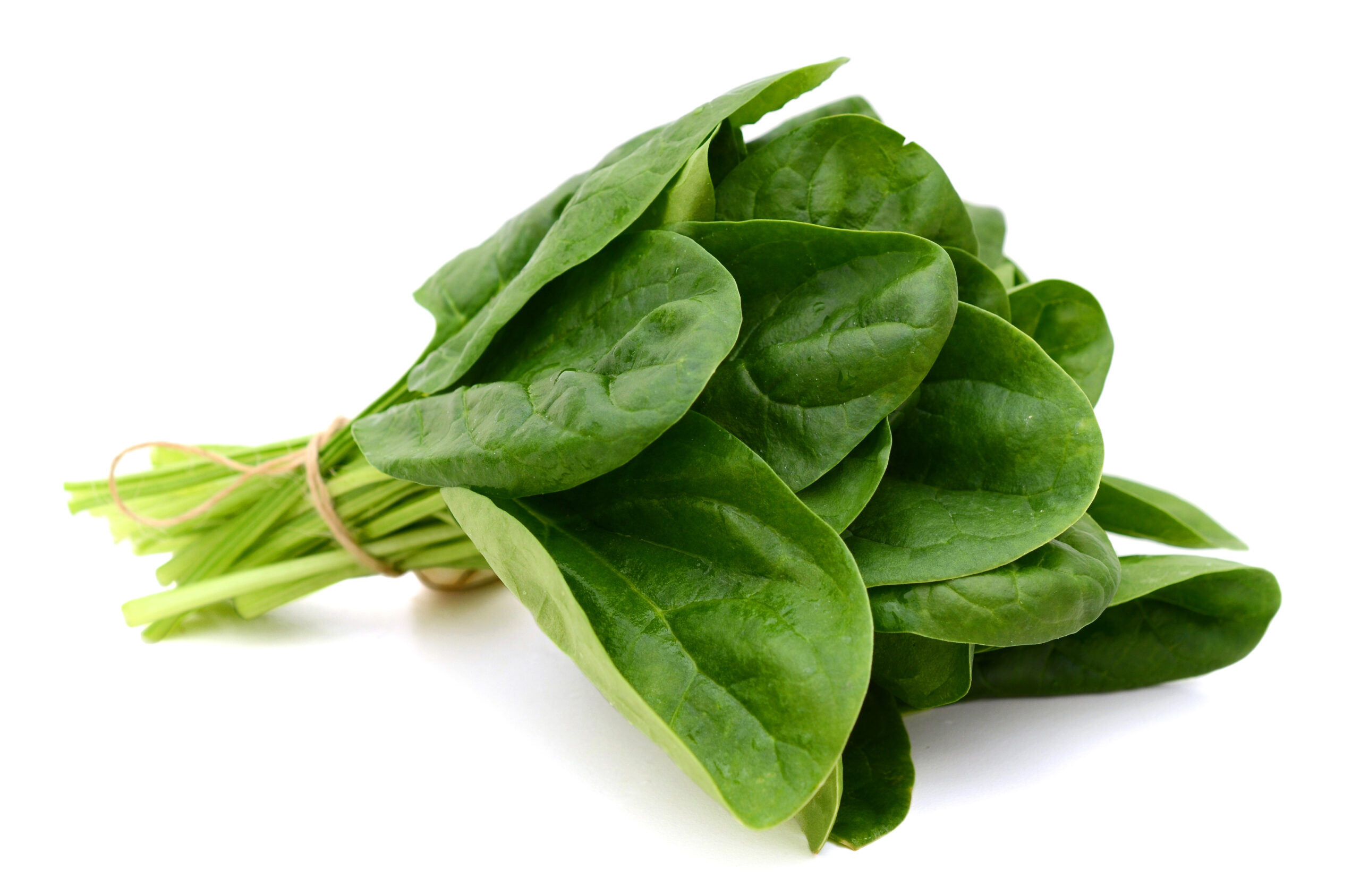 Spinach leaf