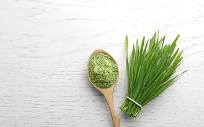 The Health Benefits of Wheat Grass
