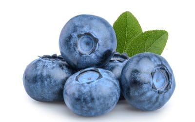 The Health Benefits of Blueberries