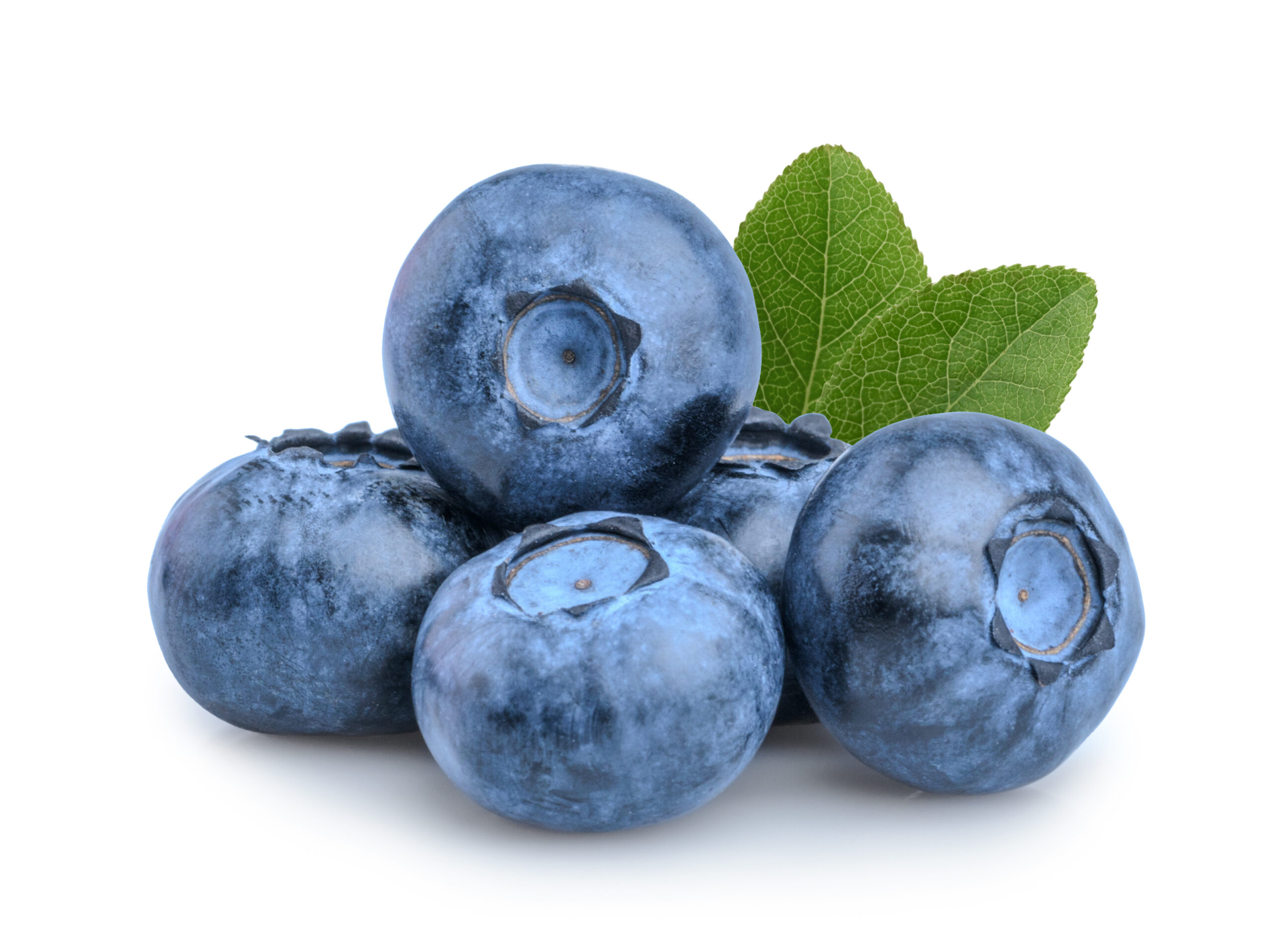 Blueberries