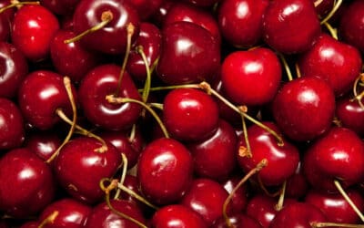 The Health Benefits of Cherries