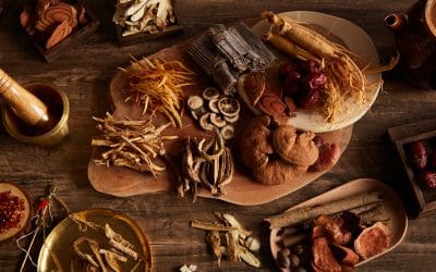 The Benefits of Medicinal Mushrooms: Are Mushrooms Good For You?